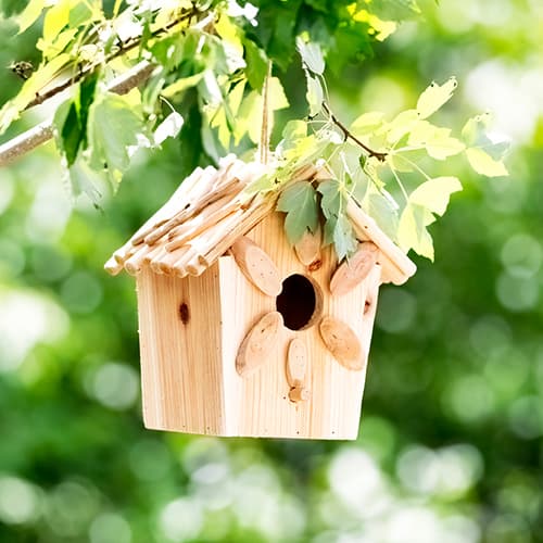 Bird Nesting Boxes