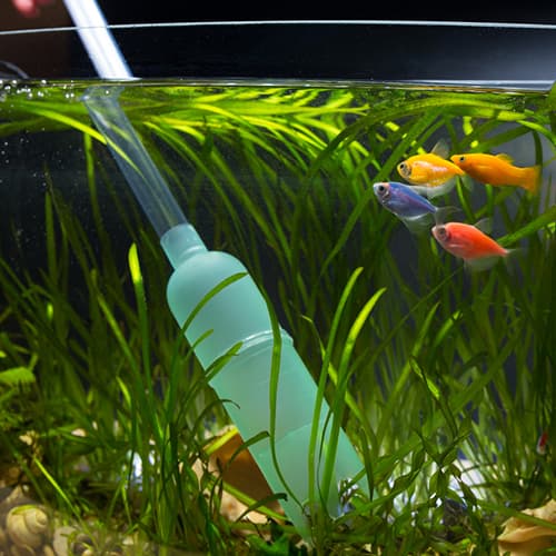 Fish Tank Filters & Pumps