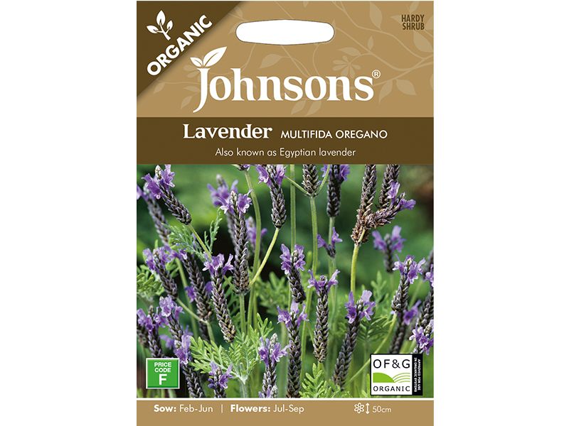 Lavender multifida Organic Seeds