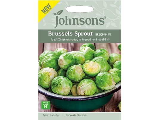 Brussels Sprout 'Brechin' Seeds