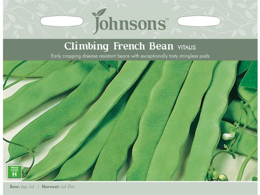 Climbing French Bean 'Vitalis' Seeds