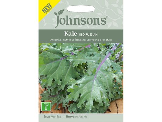 Kale 'Red Russian' Seeds