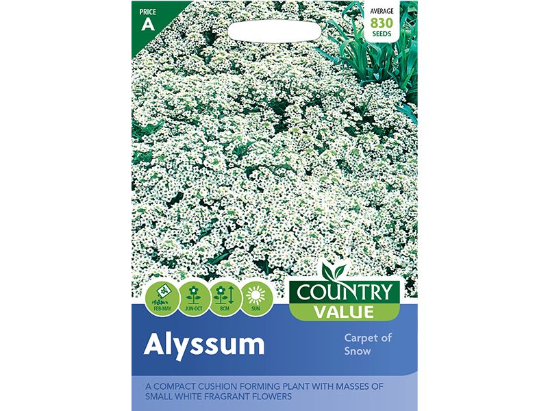 Alyssum 'Carpet of Snow' Seeds