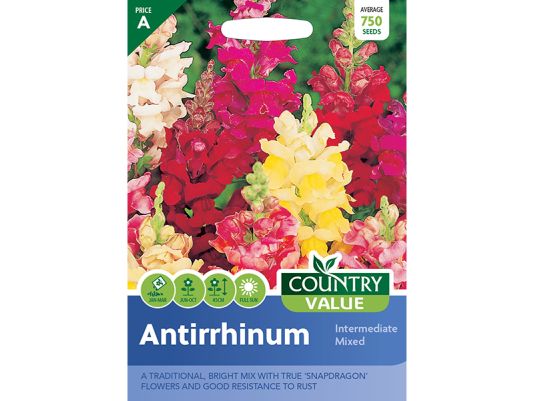 Antirrhinum 'Intermediate Mixed' Seeds
