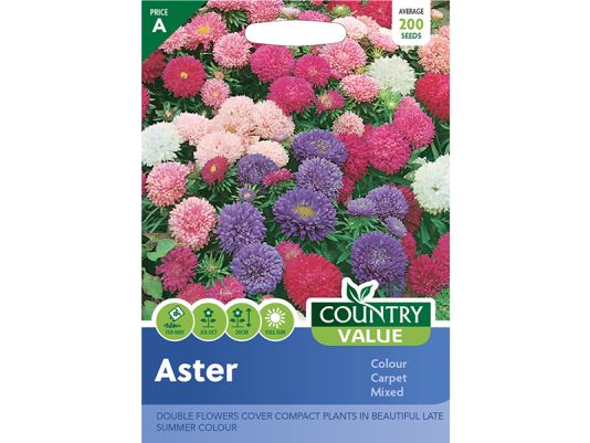 Aster 'Colour Carpet Mixed' Seeds
