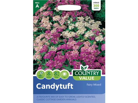Candytuft 'Fairy Mixed' Seeds