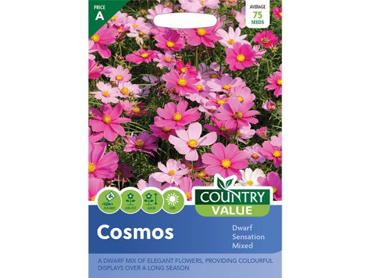 Cosmos 'Dwarf Sensation Mixed' Seeds