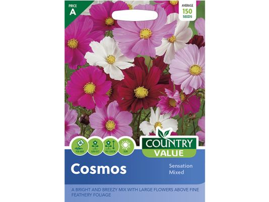 Cosmos 'Sensation Mixed' Seeds