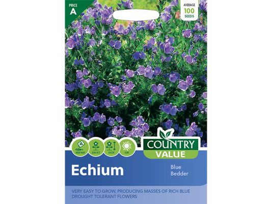 Echium 'Blue Bedder' Seeds