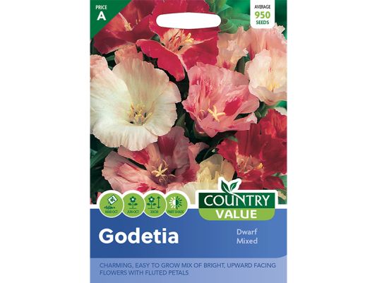 Godetia 'Dwarf Mixed' Seeds