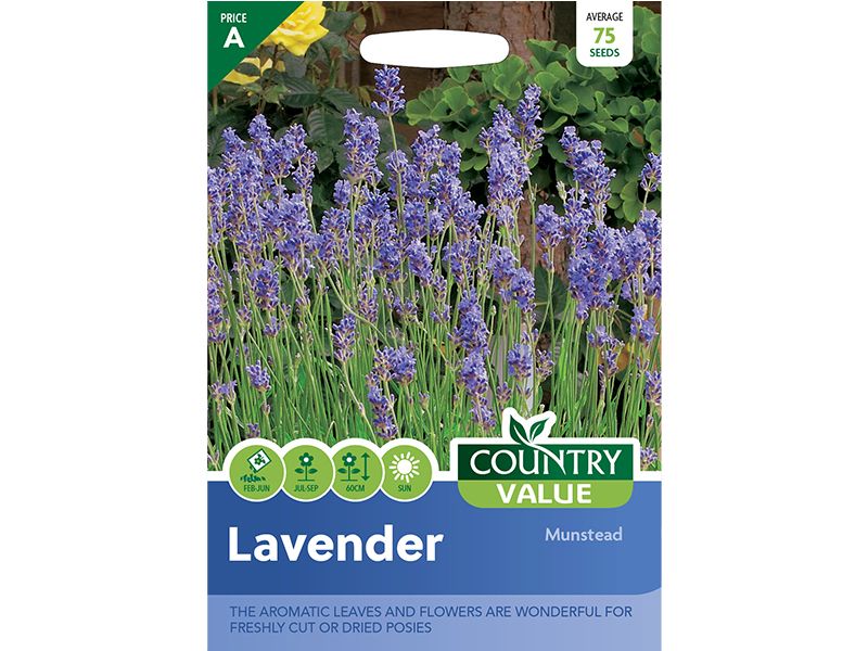 Lavender 'Munstead' Seeds