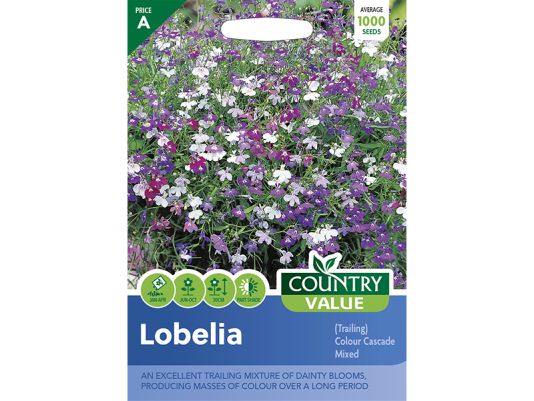 Lobelia (trailing) 'Colour Cascade' Mixed Seeds