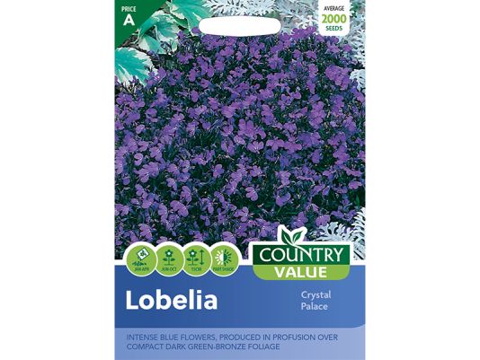 Lobelia (upright) 'Crystal Palace' Seeds