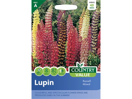 Lupin 'Russell Mixed' Seeds