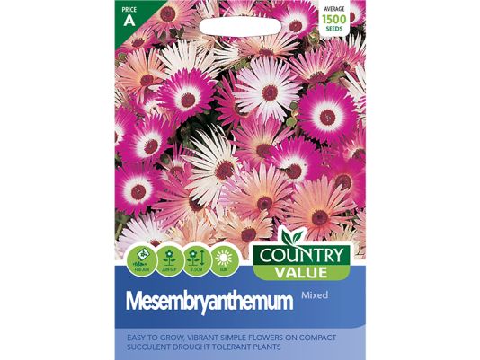 Mesembryanthemum 'Mixed' Seeds