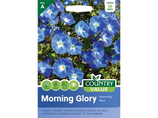 Ipomoea (Morning Glory) 'Heavenly Blue' Seeds