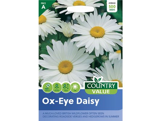 Ox-Eye Daisy Seeds