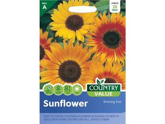 Sunflower 'Evening Sun' Seeds
