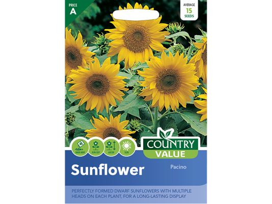 Sunflower 'Pacino' Seeds