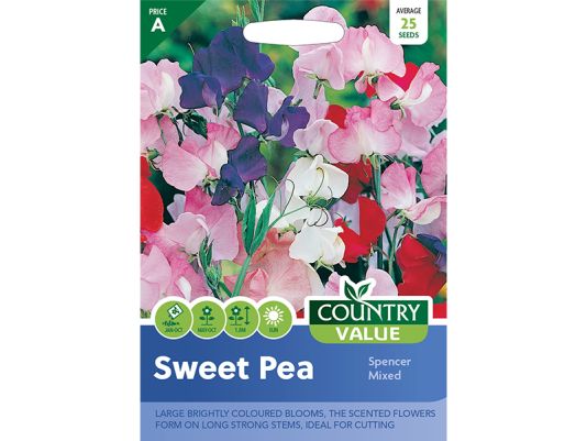 Sweet Pea 'Spencer Mixed' Seeds