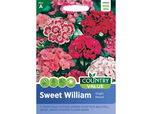 Sweet William 'Single Mixed' Seeds