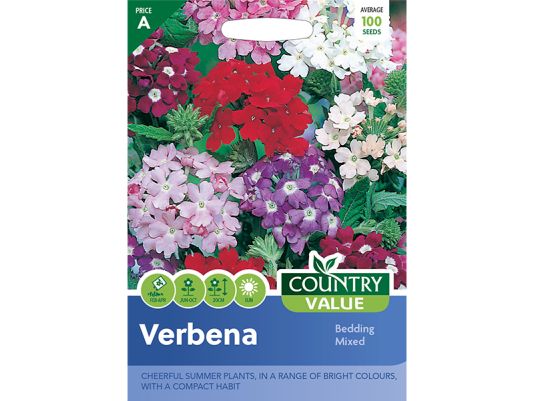 Verbena 'Bedding Mixed' Seeds