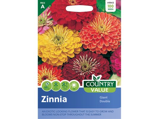 Zinnia 'Giant Double' Seeds