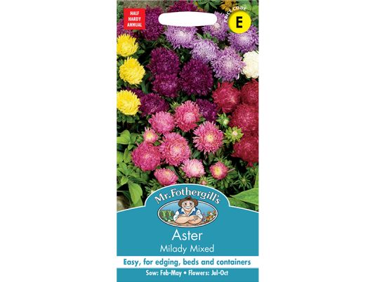 Aster 'Milady Mixed' Seeds