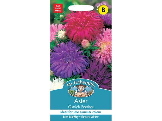 Aster 'Ostrich Feather' Seeds