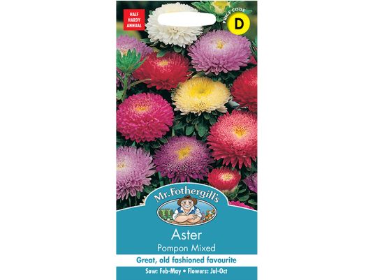 Aster 'Pompon Mixed' Seeds