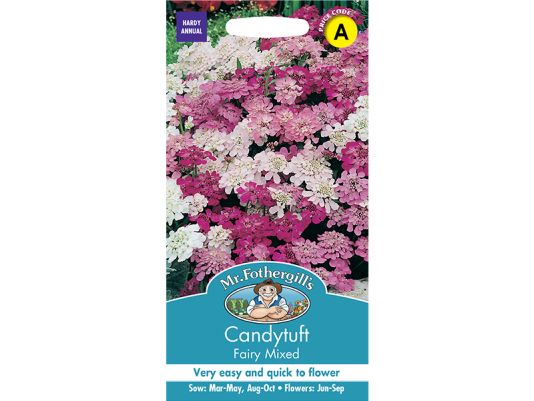Candytuft 'Fairy Mixed' Seeds