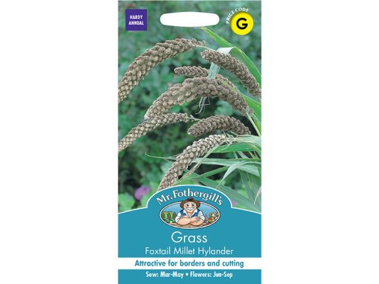 Setaria italica (Foxtail Millet) 'Hylander' Seeds