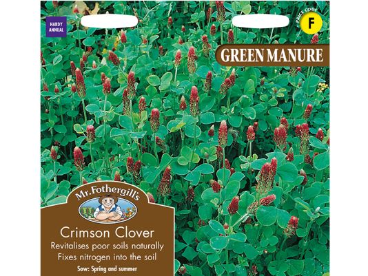 Green Manure Crimson Clover Seeds