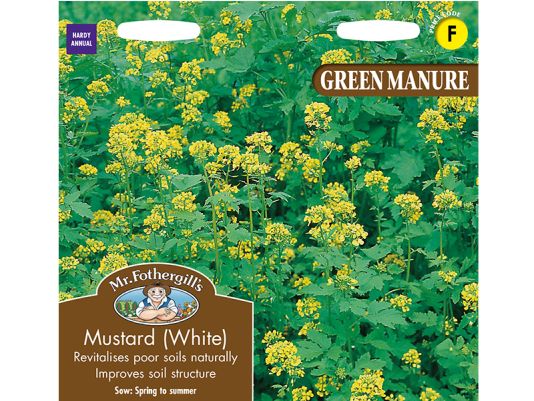 Green Manure Mustard (White) Seeds
