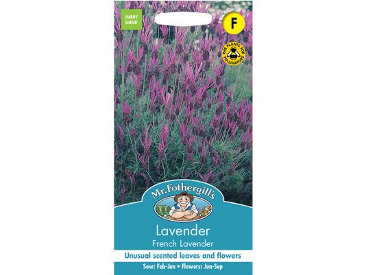 Lavender 'French' Seeds