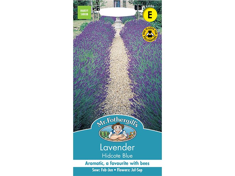 Lavender 'Hidcote Blue' Seeds