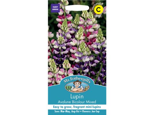 Lupin 'Avalune Bicolour Mix' Seeds