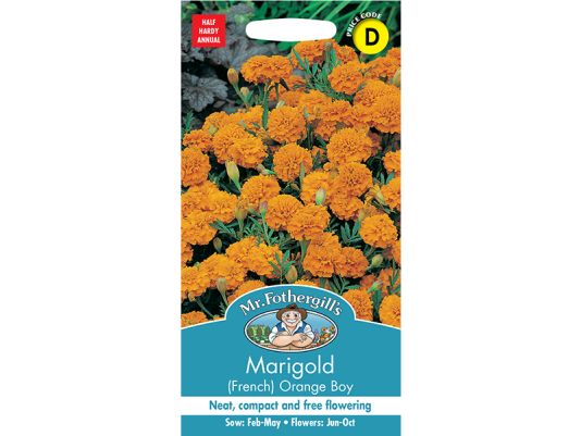 Marigold (French) 'Orange Boy' Seeds