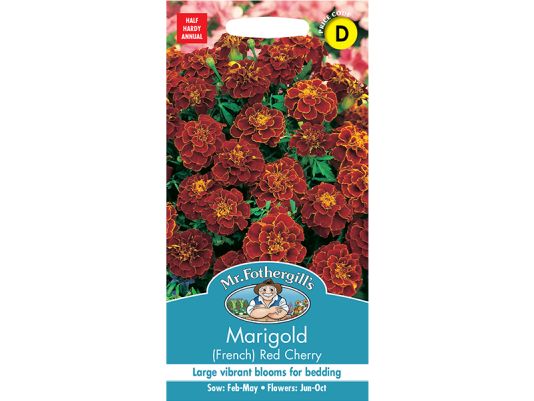 Marigold (French) 'Red Cherry' Seeds