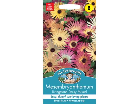 Mesembryanthemum (Livingstone Daisy) 'Mixed' Seeds