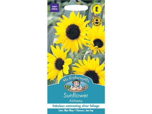 Sunflower 'Alchemy' Seeds