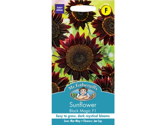 Sunflower 'Black Magic' F1 Seeds
