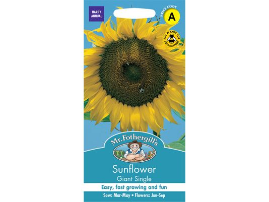 Sunflower 'Giant Single' Seeds