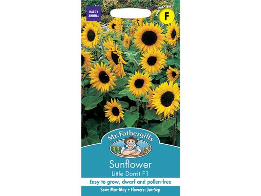 Sunflower 'Little Dorrit' F1 Seeds