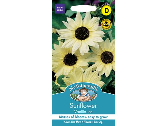 Sunflower 'Vanilla Ice' Seeds