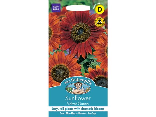 Sunflower 'Velvet Quee'n Seeds