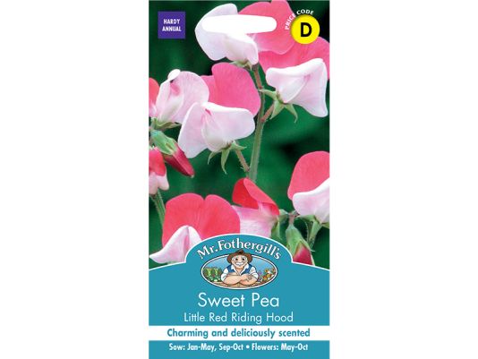 Sweet Pea 'Little Red Riding Hood' Seeds