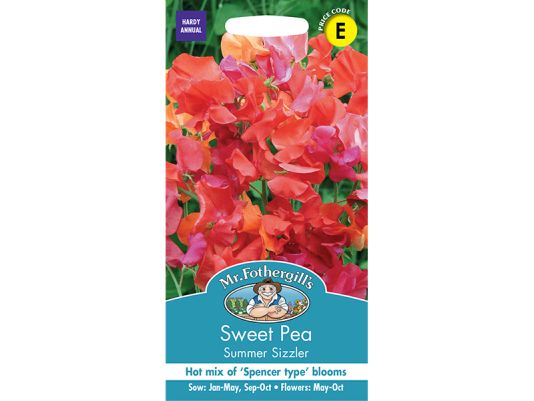 Sweet Pea 'Summer Sizzler' Seeds