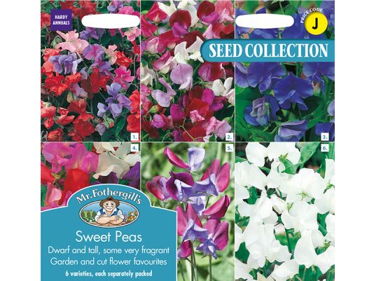 Sweet Peas Collection Seeds