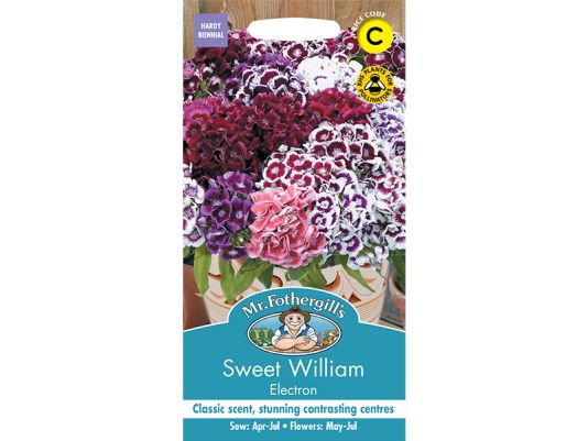 Sweet William 'Electron' Seeds